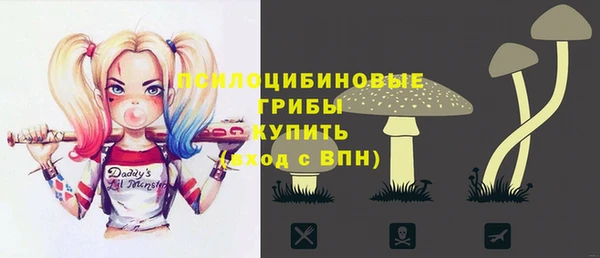 бошки Михайловск